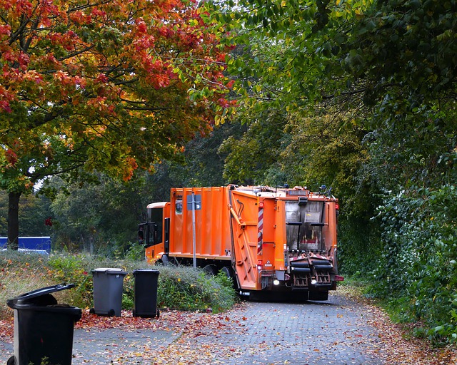 camion poubelles