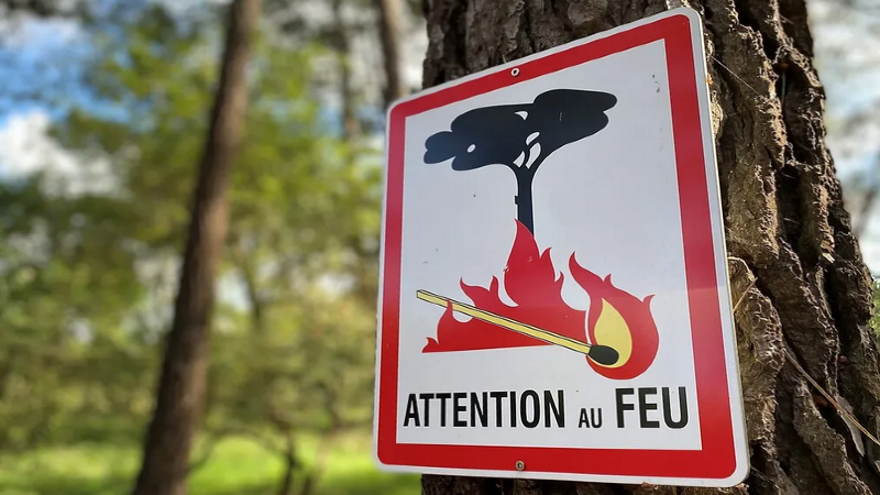 feu-forêt